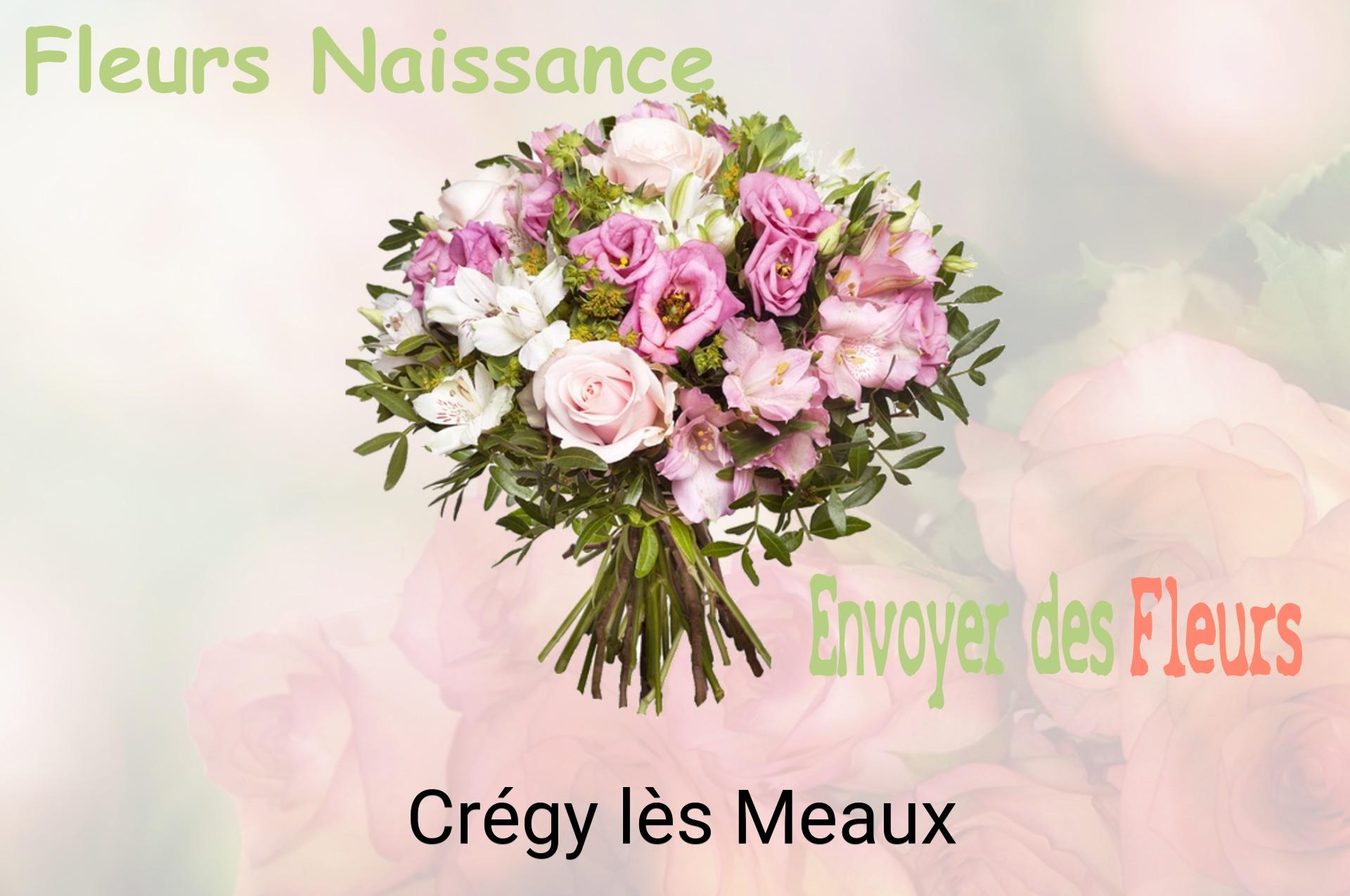 Bouquet de fleurs de naissance livré à Crégy-lès-Meaux